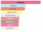 Amo Flowerful Eau de Toilette 100 spray